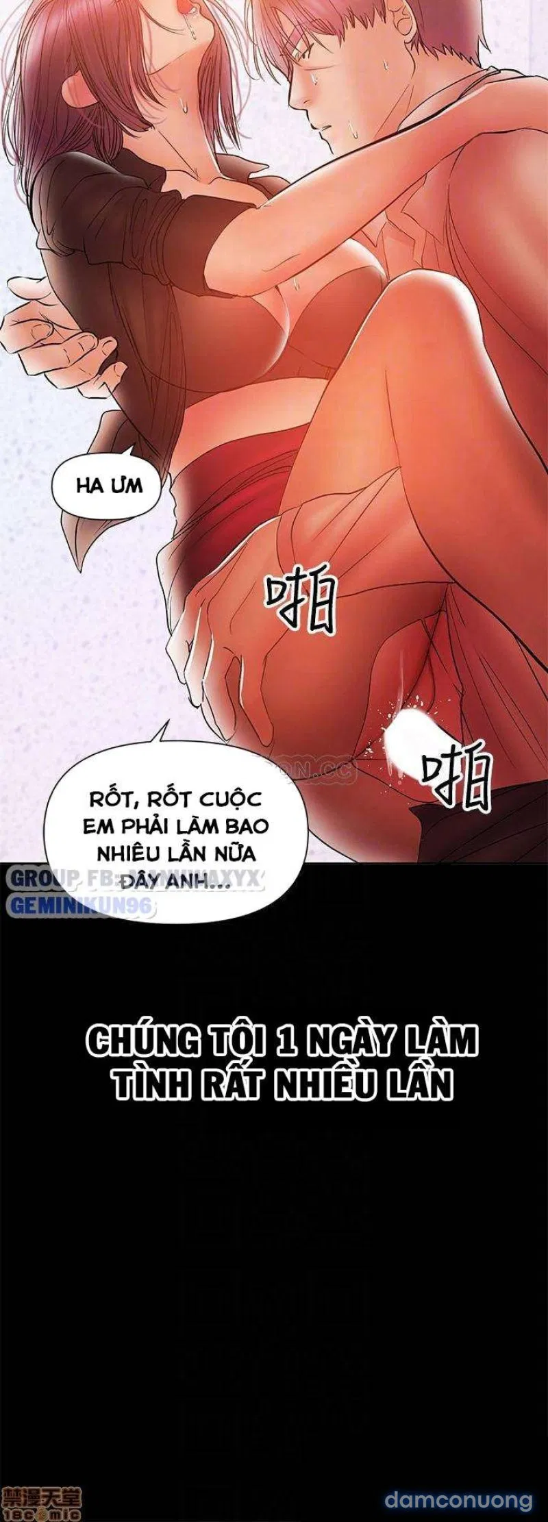 Bầu Sữa Vú Nuôi 