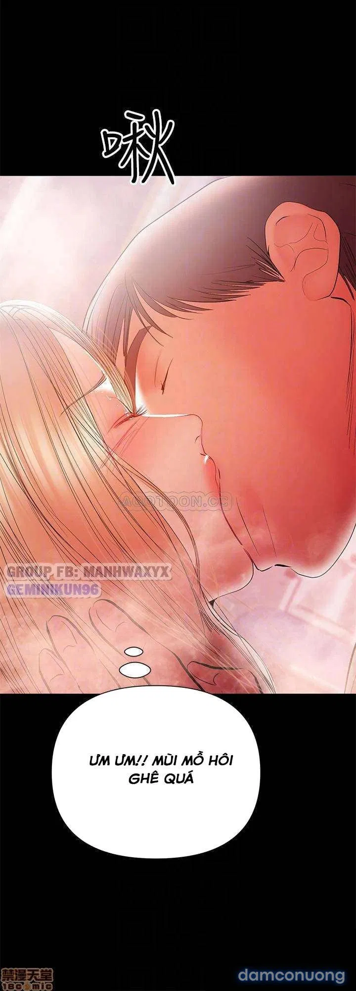 Bầu Sữa Vú Nuôi 