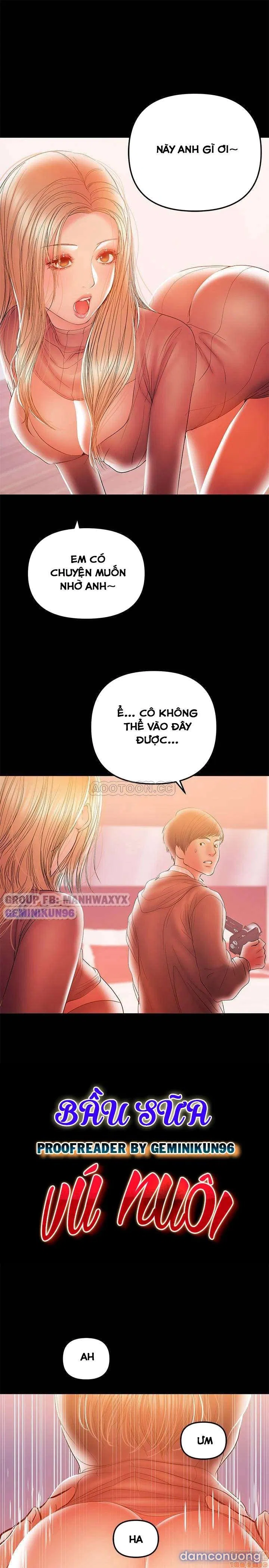 Bầu Sữa Vú Nuôi 