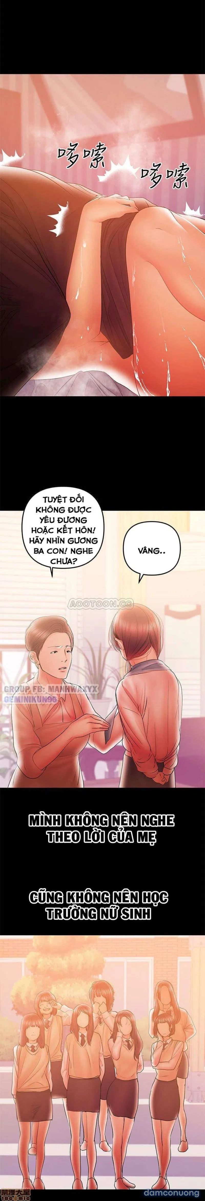 Bầu Sữa Vú Nuôi 
