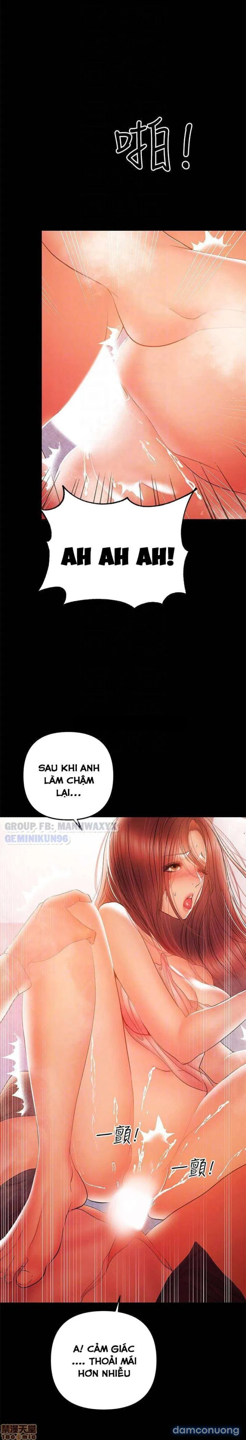 Bầu Sữa Vú Nuôi 