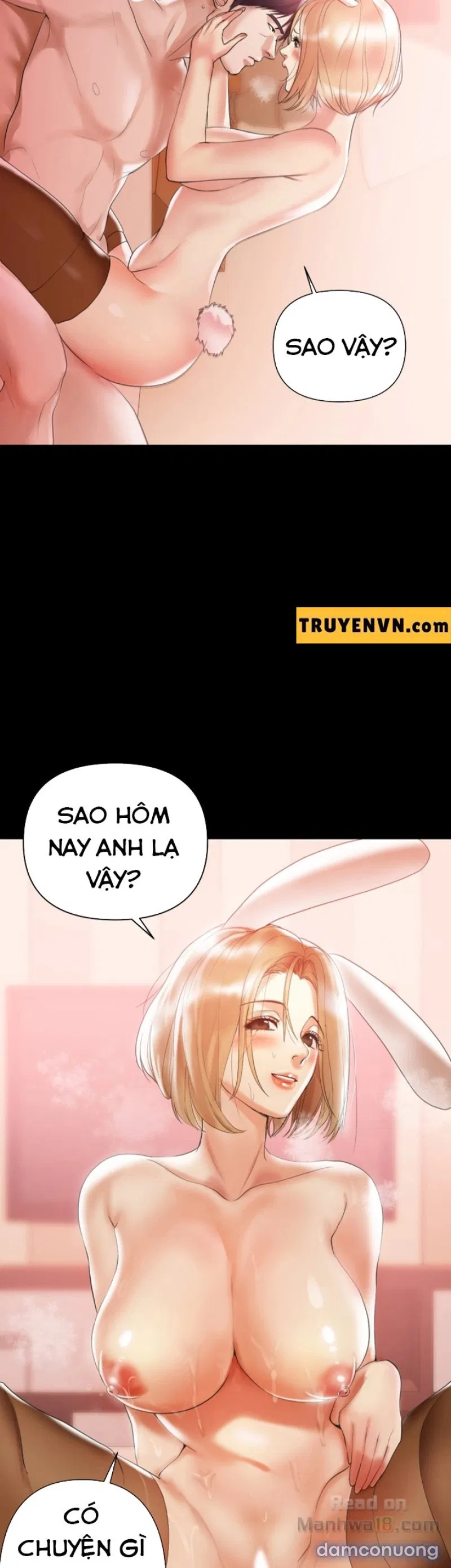 Bầu Sữa Vú Nuôi 