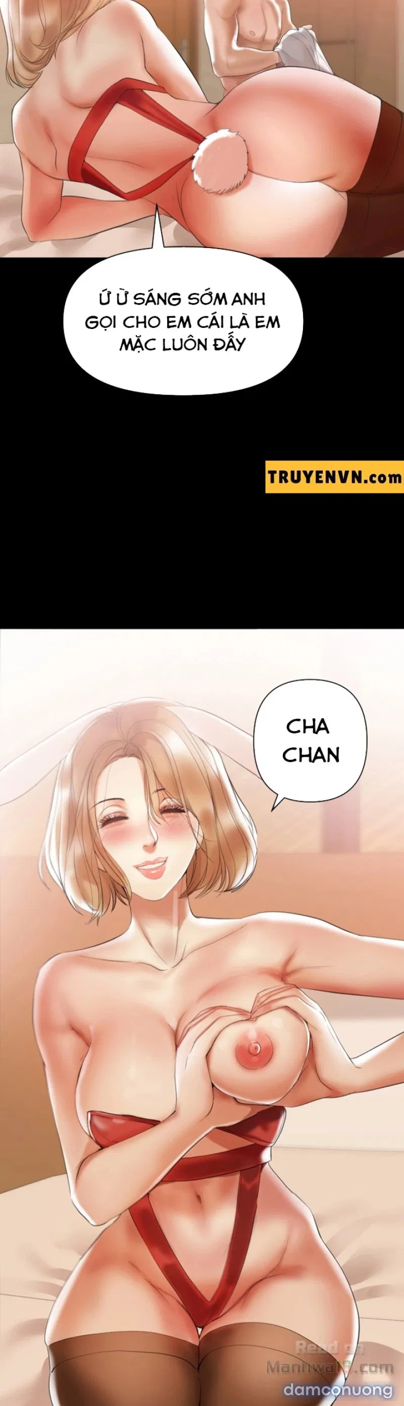 Bầu Sữa Vú Nuôi 
