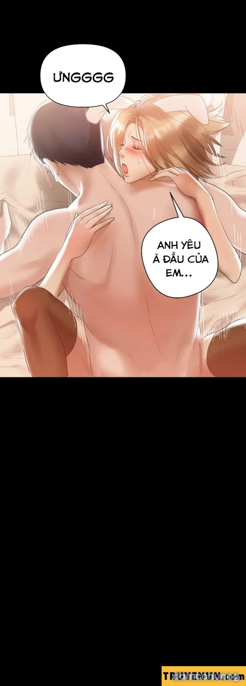 Bầu Sữa Vú Nuôi 