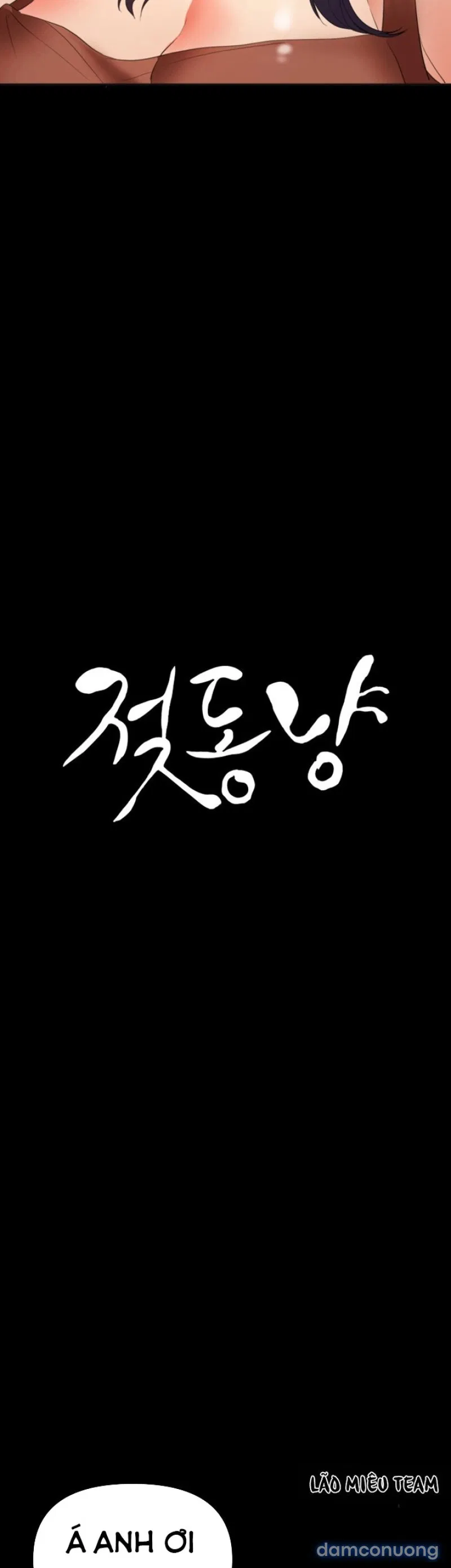 Bầu Sữa Vú Nuôi 