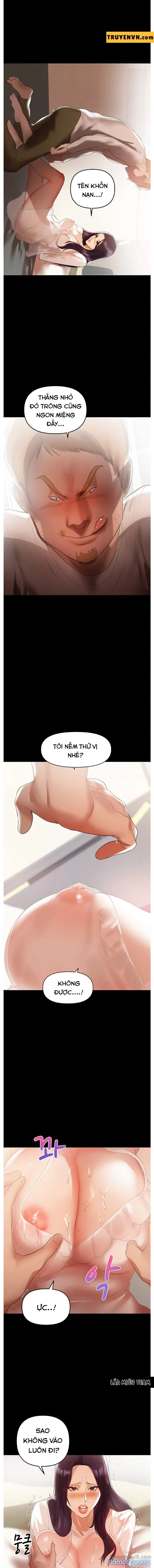 Bầu Sữa Vú Nuôi 