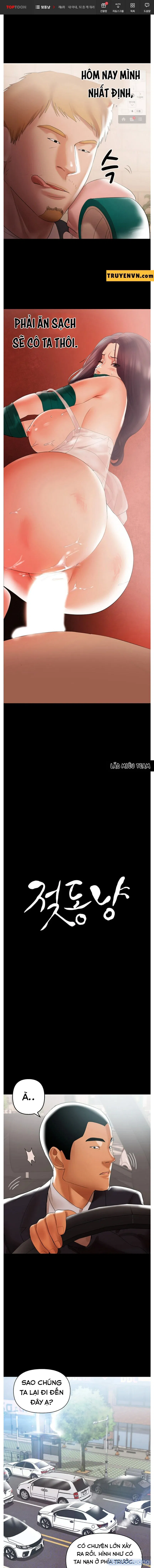 Bầu Sữa Vú Nuôi 