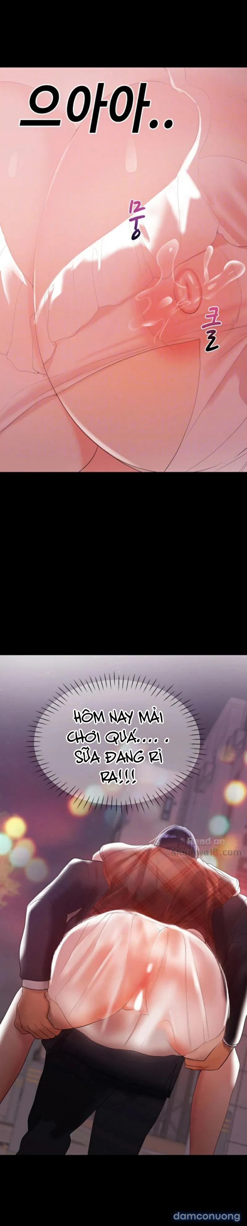 Bầu Sữa Vú Nuôi 