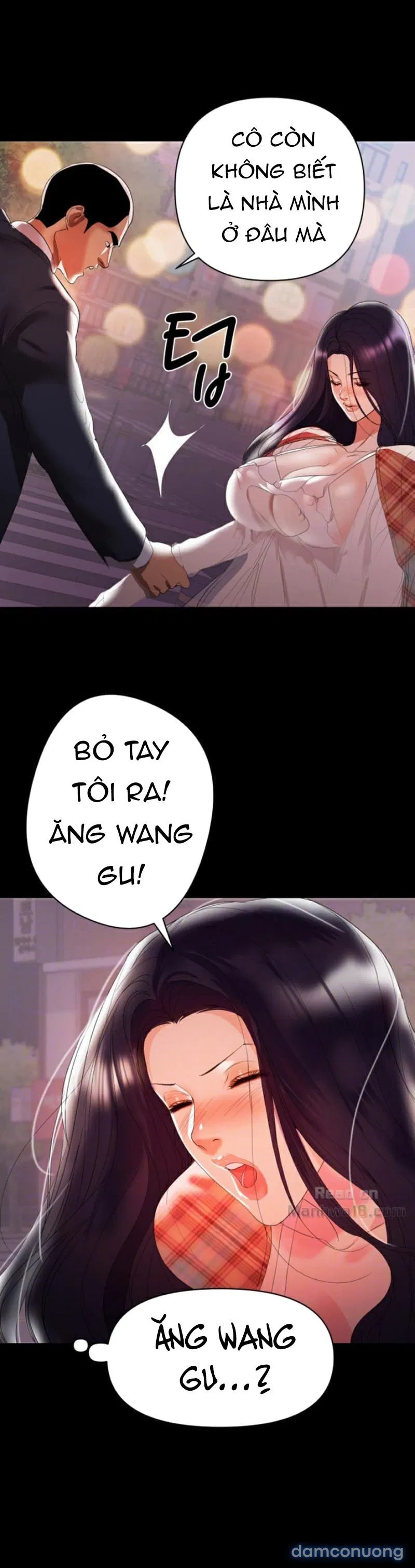 Bầu Sữa Vú Nuôi 