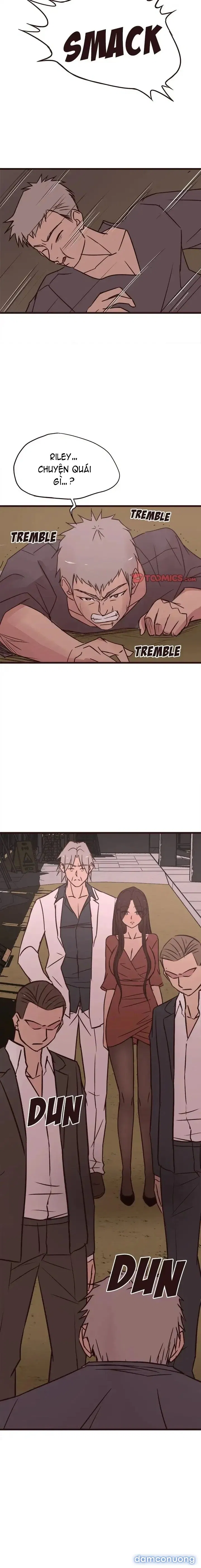 Tình Yêu Mù Quáng 