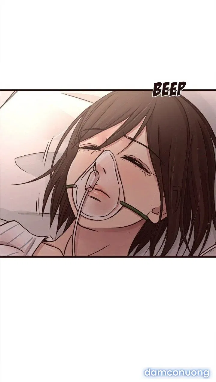 Tình Yêu Mù Quáng 