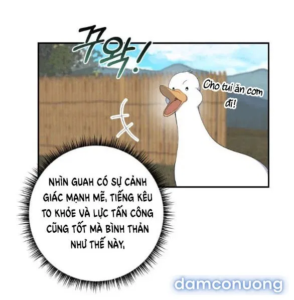 Tân Lang Ốc (Chàng Tiên Ốc) 