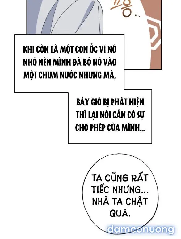 Tân Lang Ốc (Chàng Tiên Ốc) 