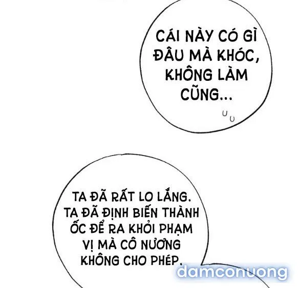 Tân Lang Ốc (Chàng Tiên Ốc) 