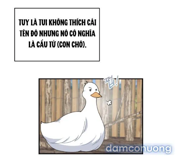 Tân Lang Ốc (Chàng Tiên Ốc) 