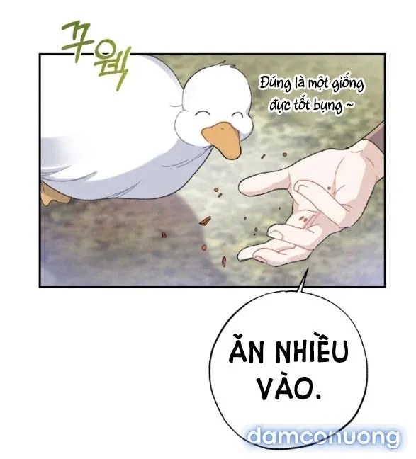 Tân Lang Ốc (Chàng Tiên Ốc) 
