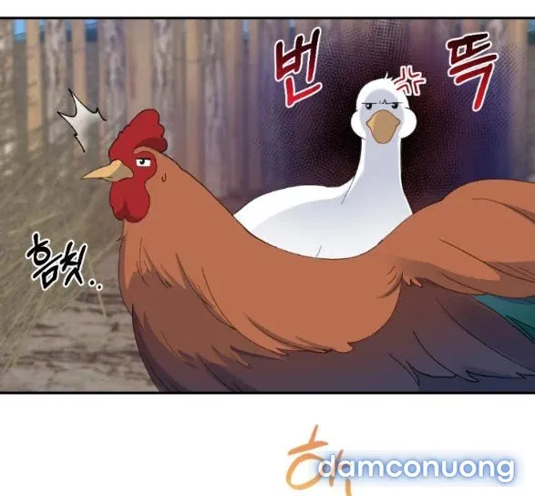 Tân Lang Ốc (Chàng Tiên Ốc) 