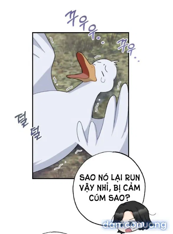 Tân Lang Ốc (Chàng Tiên Ốc) 