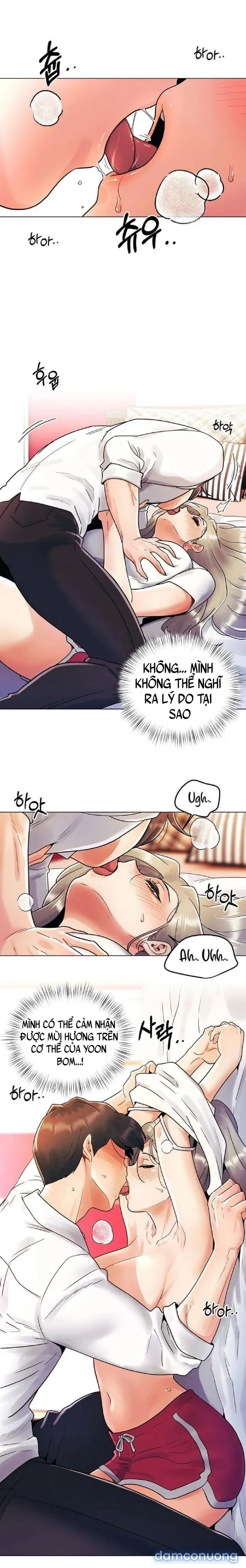 Lần Đầu Ấy 