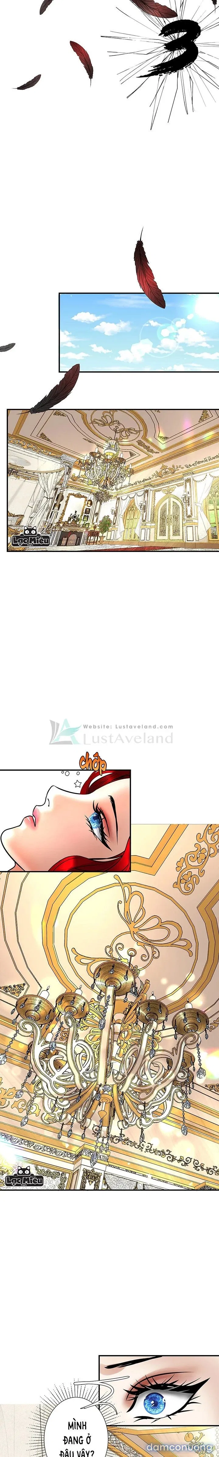 Khế Ước Với Ác Quỷ 