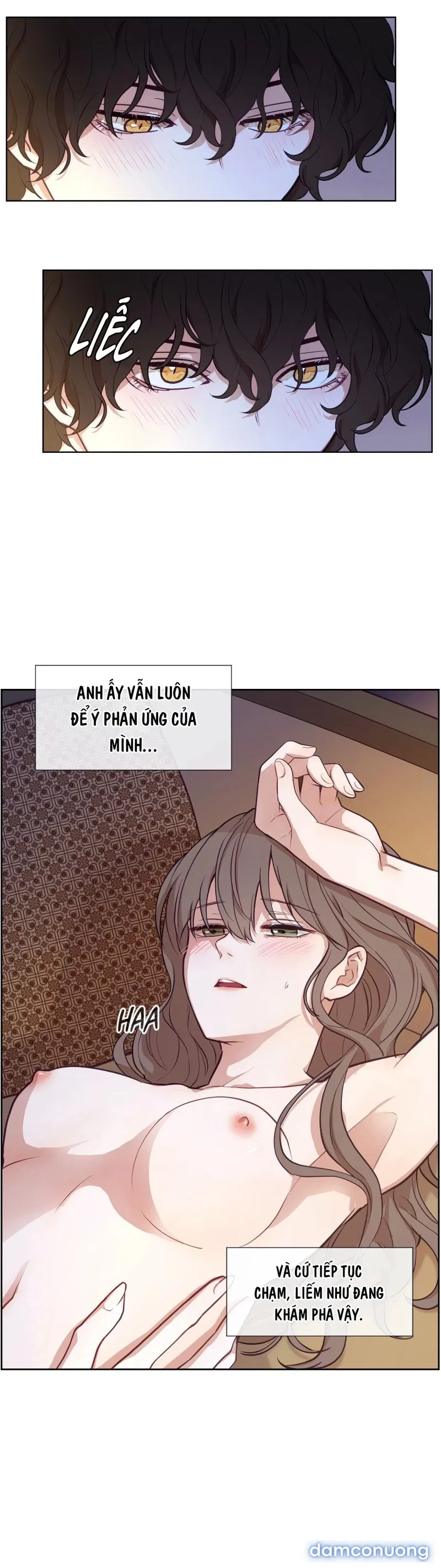 Máu Của Nàng Giselle 