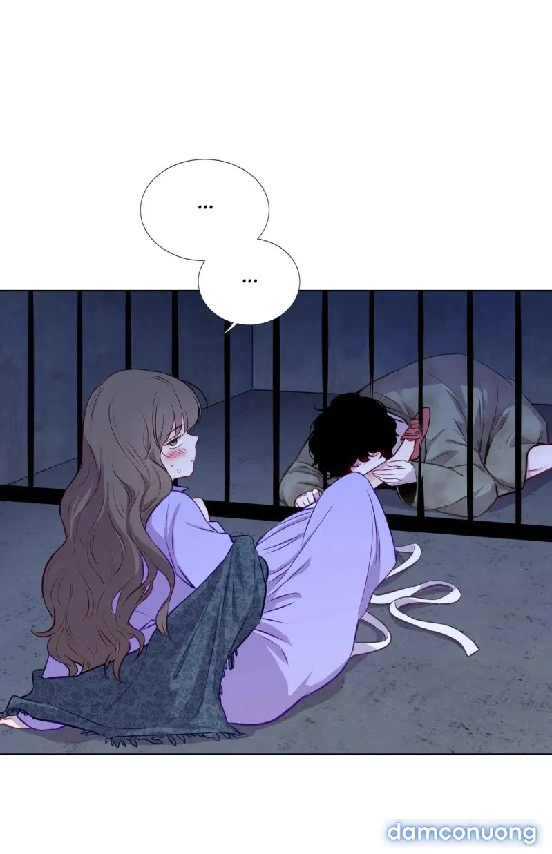 Máu Của Nàng Giselle 