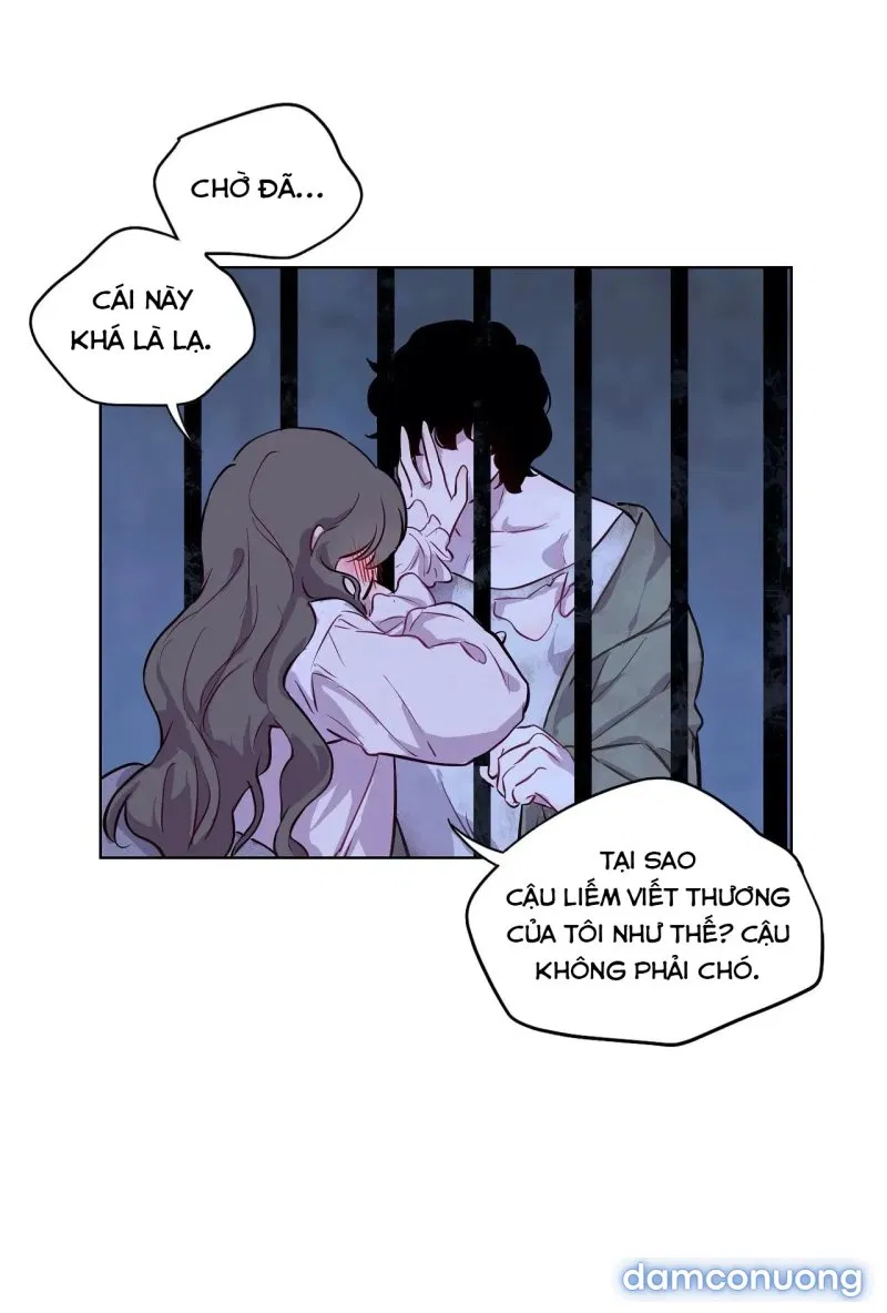 Máu Của Nàng Giselle 