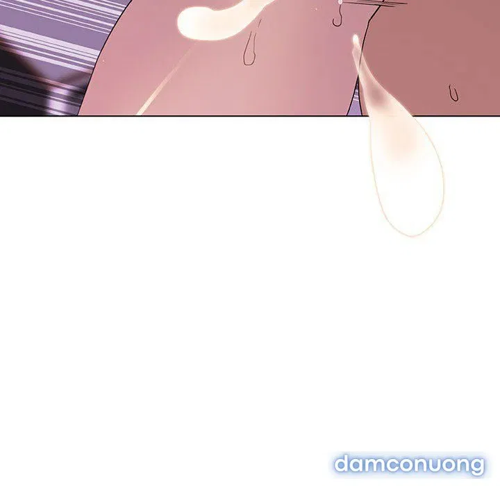 Hoa tàn 