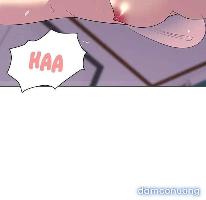 Hoa tàn 