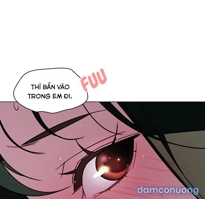 Hoa tàn 