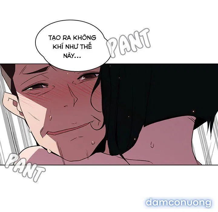 Hoa tàn 