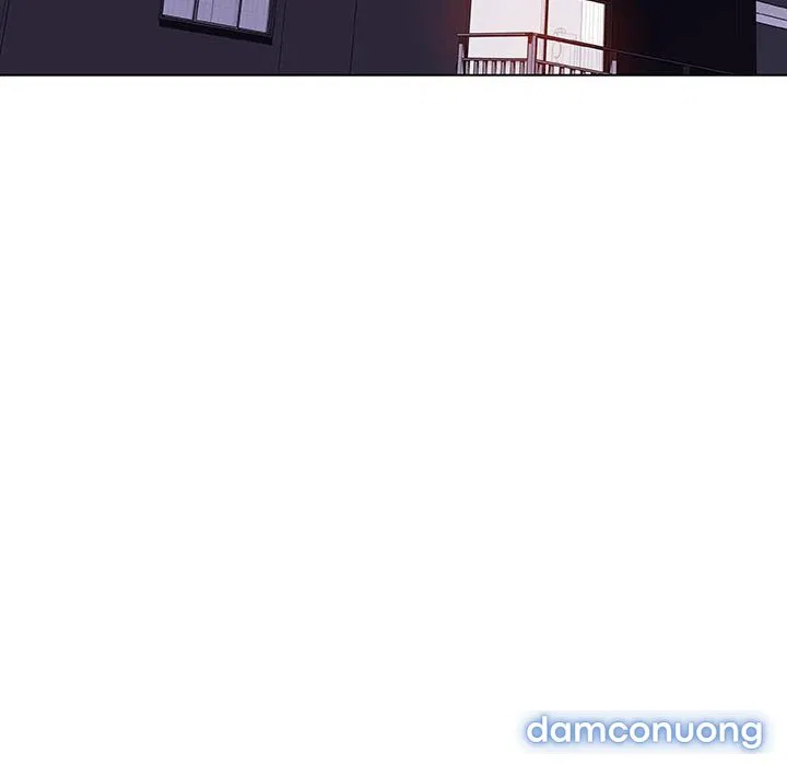 Hoa tàn 