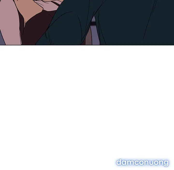 Hoa tàn 