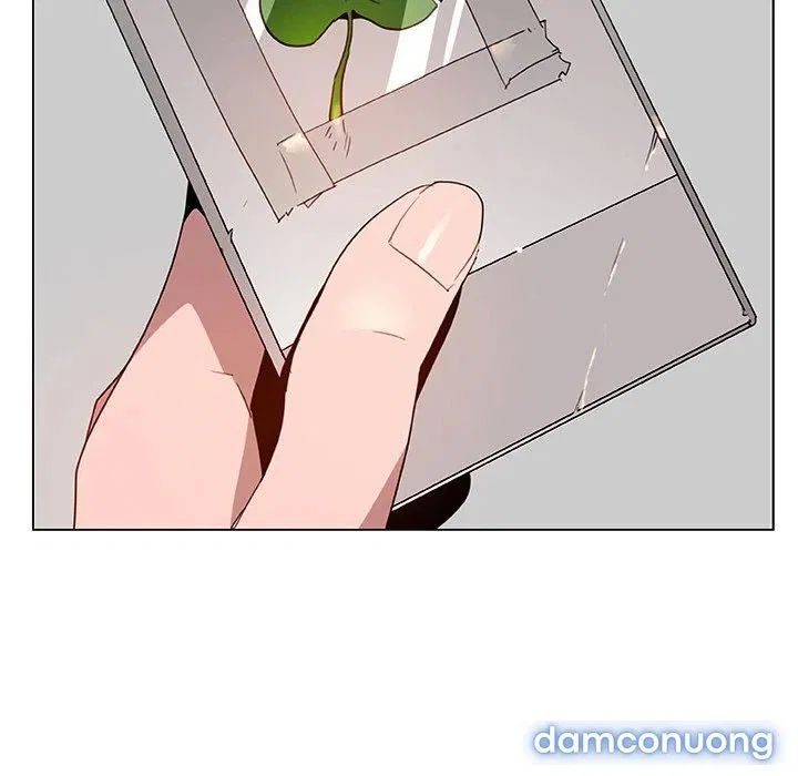 Hoa tàn 