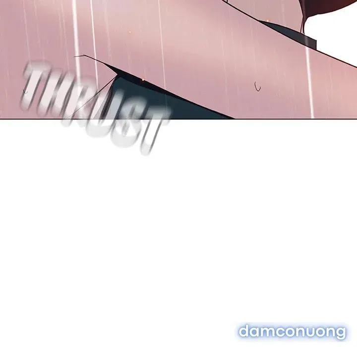 Hoa tàn 