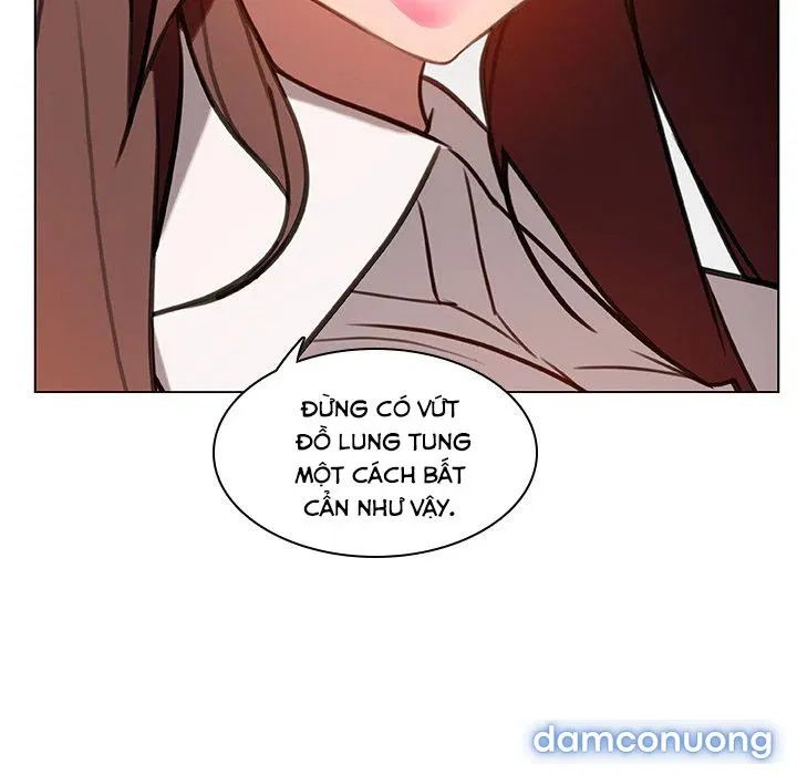 Hoa tàn 