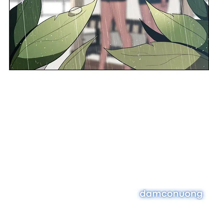 Hoa tàn 