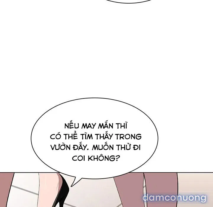 Hoa tàn 