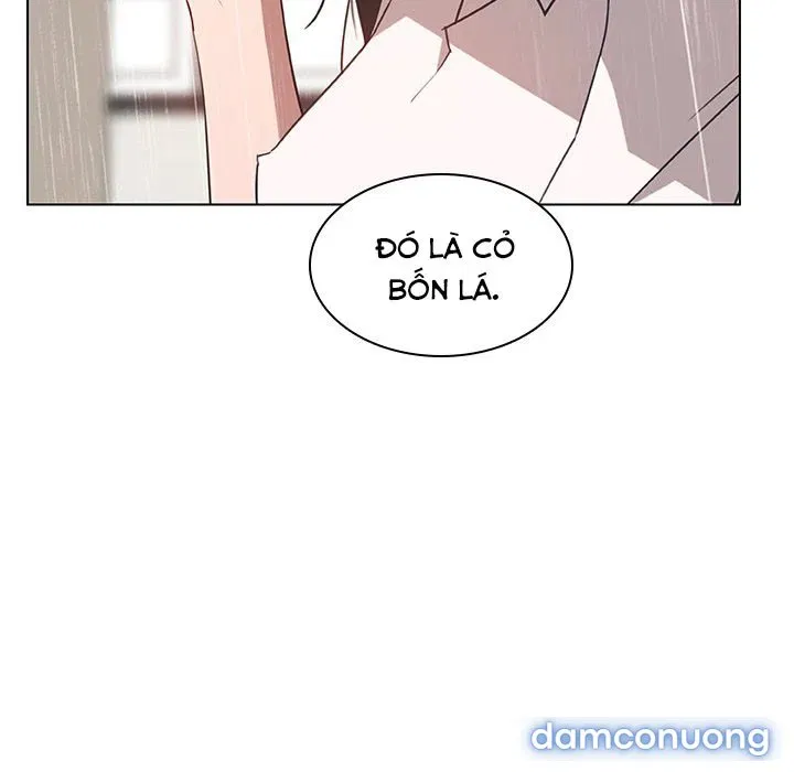 Hoa tàn 