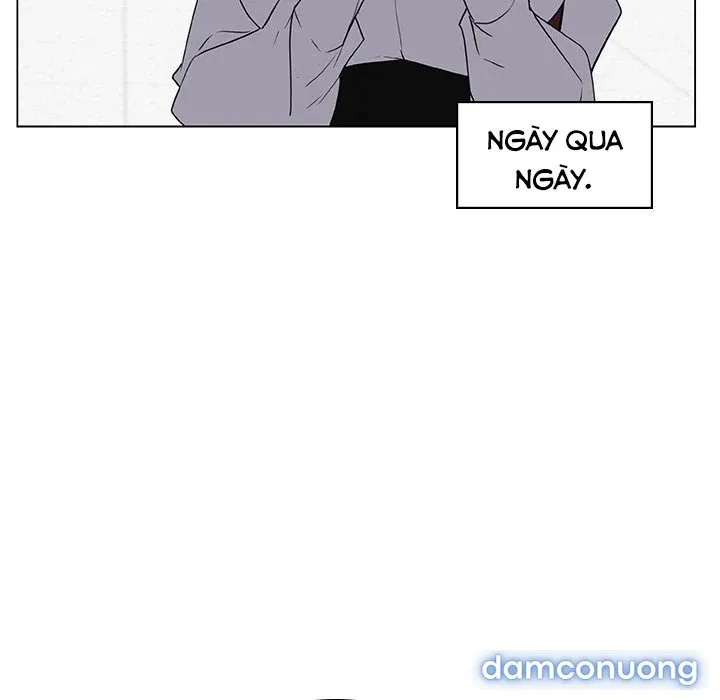 Hoa tàn 
