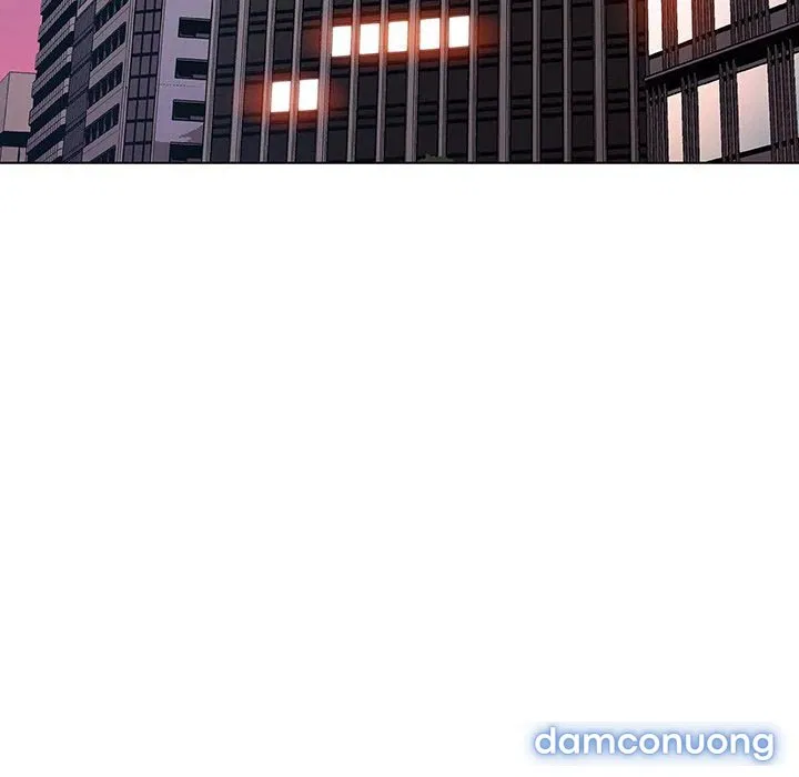 Hoa tàn 