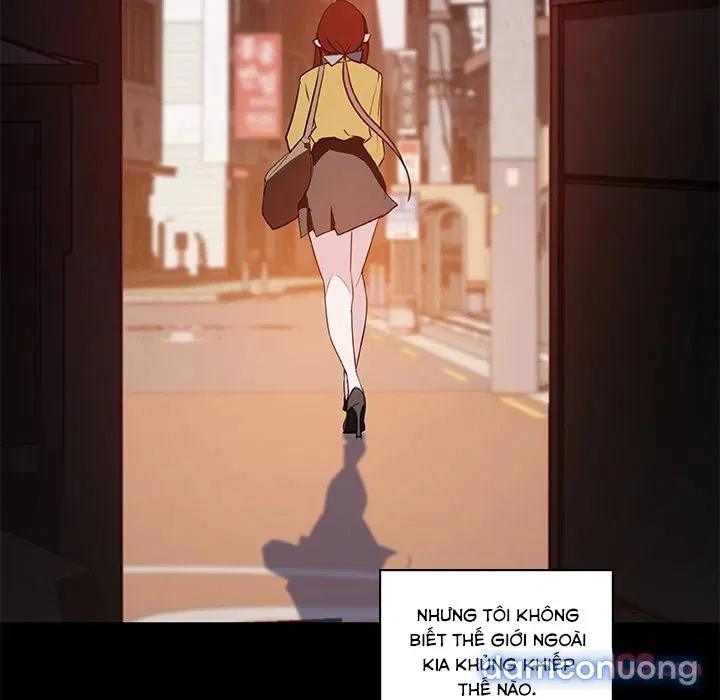 Hoa tàn 