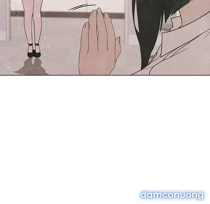 Hoa tàn 