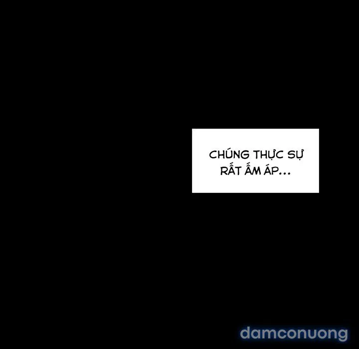 Hoa tàn 
