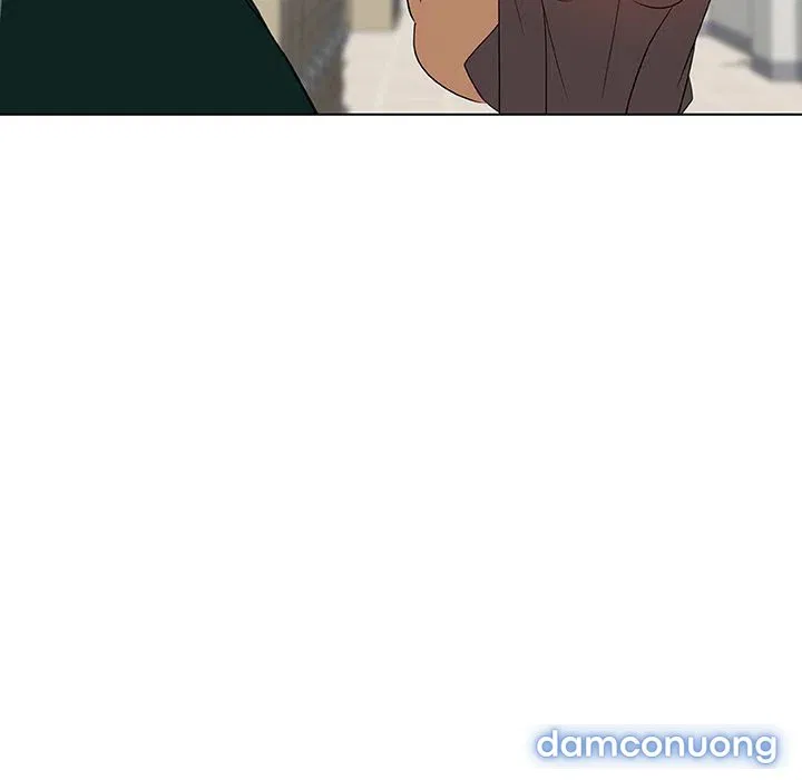 Hoa tàn 