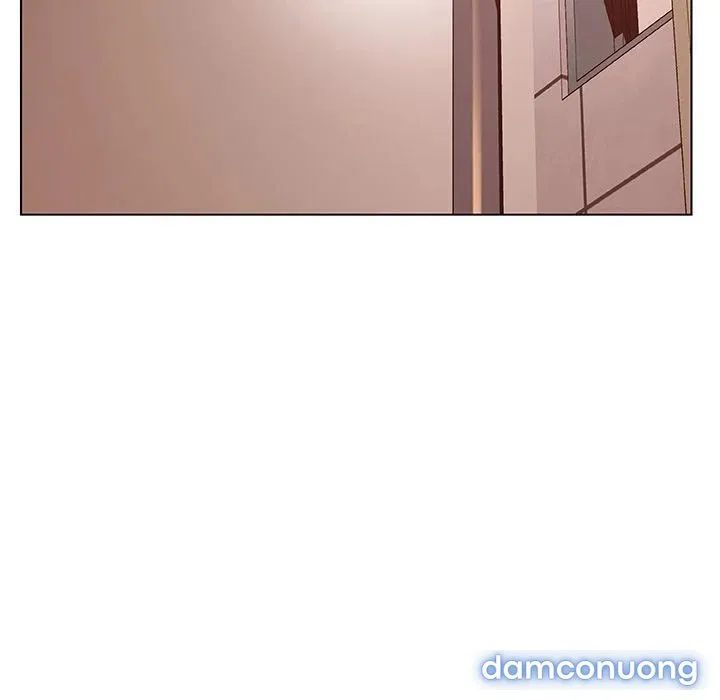 Hoa tàn 