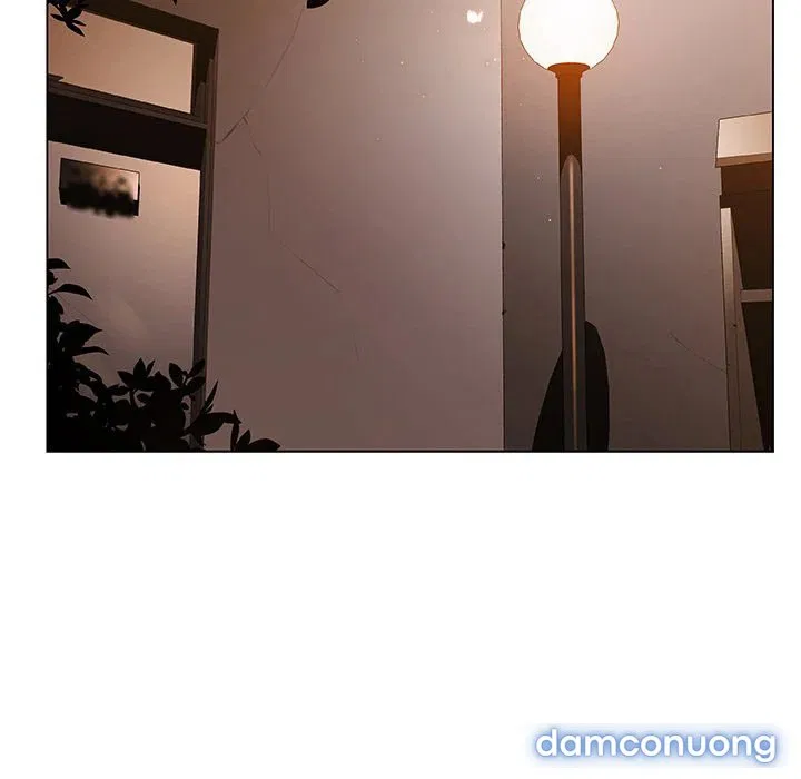 Hoa tàn 