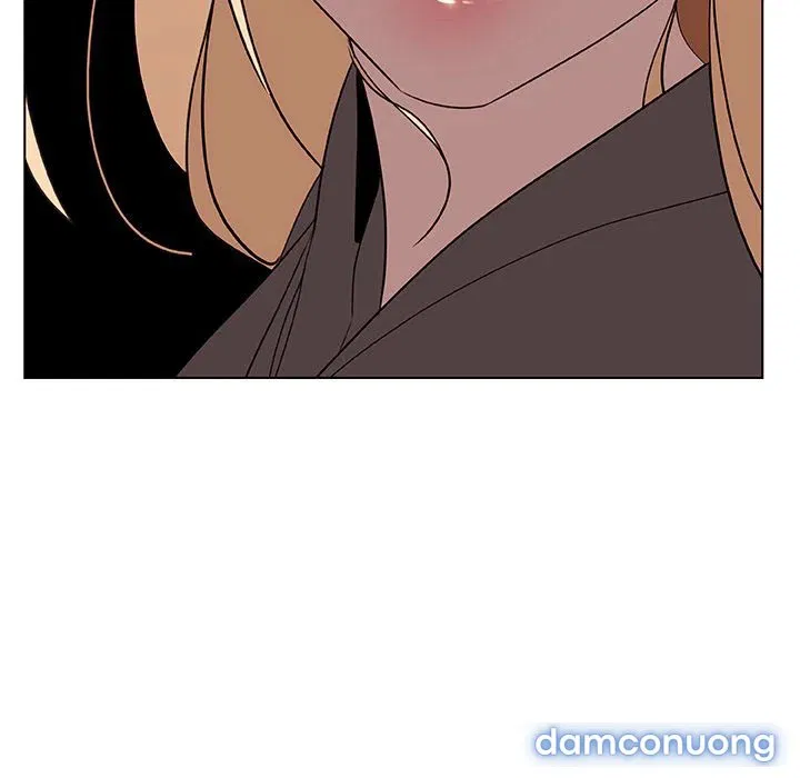 Hoa tàn 