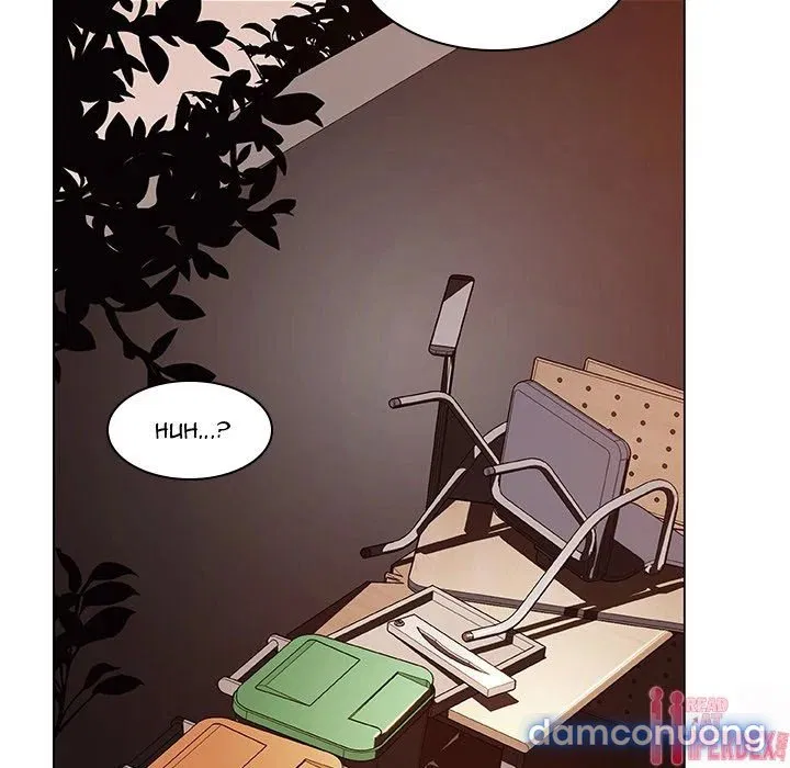 Hoa tàn 