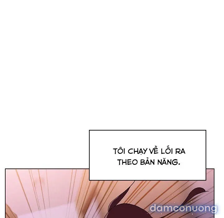Hoa tàn 